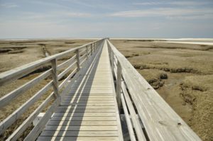 BASS HOLE GRAY'S BEACH cr William DeSousa-Mauk (11)