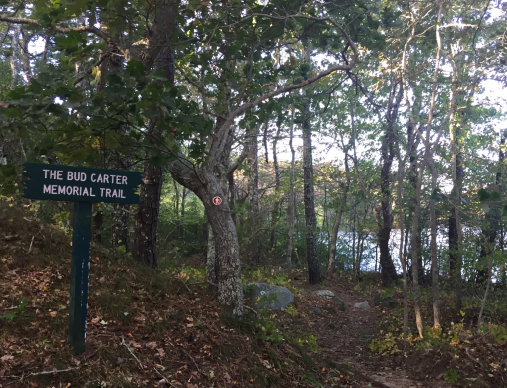 Bud Carter Conservation area